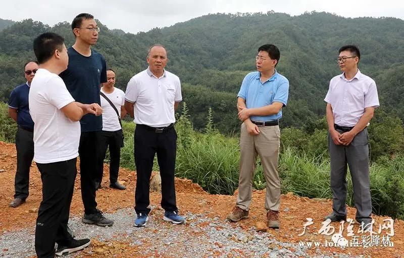 德峨乡新项目引领乡村崭新篇章发展之路