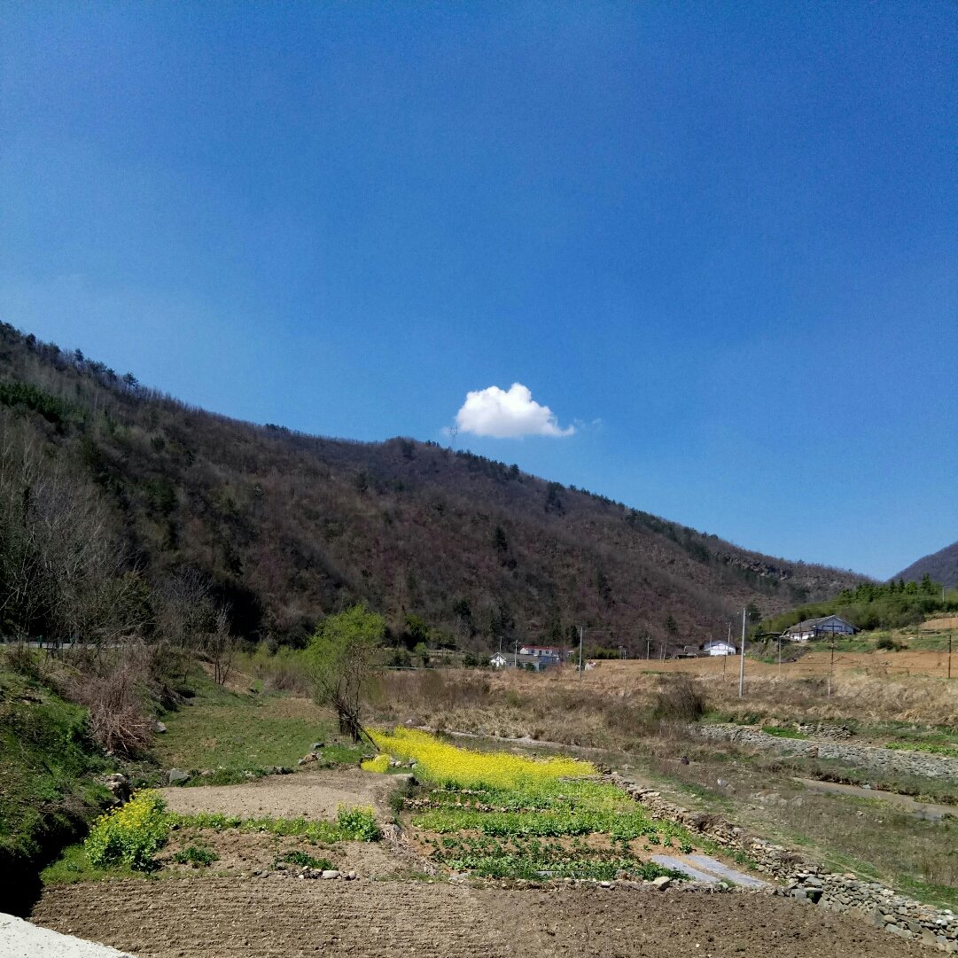 界岭乡天气预报更新通知