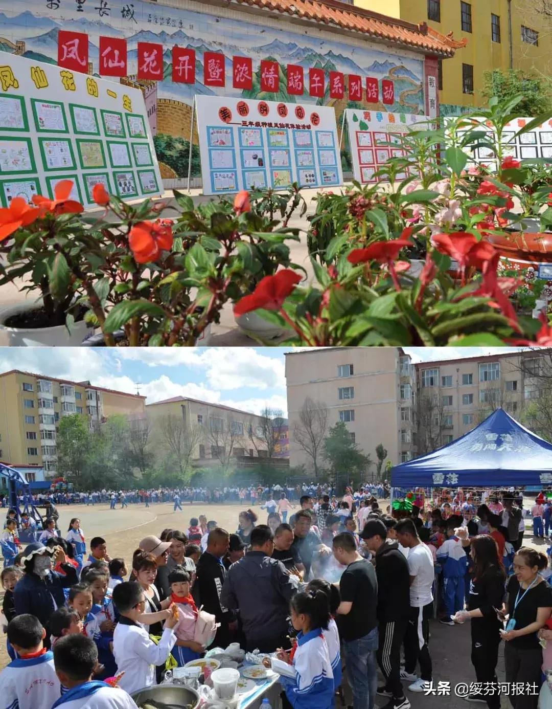 绥芬河市小学未来发展规划揭晓