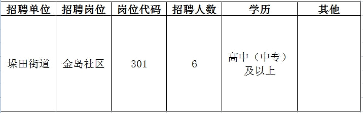 2024年12月20日 第13页