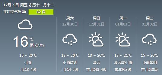 2024年12月20日 第7页