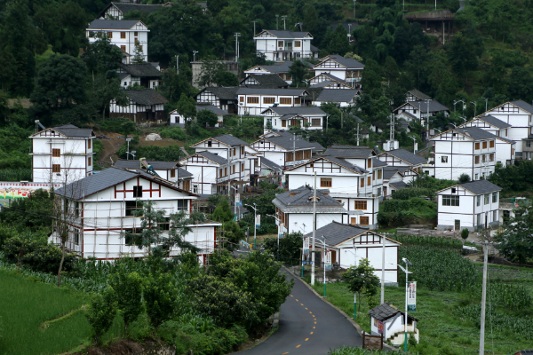 纳村交通状况全面升级，居民出行更便捷，最新交通新闻