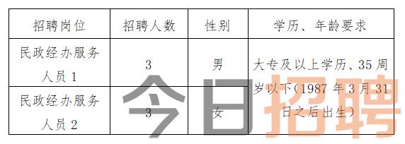 顺德区民政局最新招聘信息详解