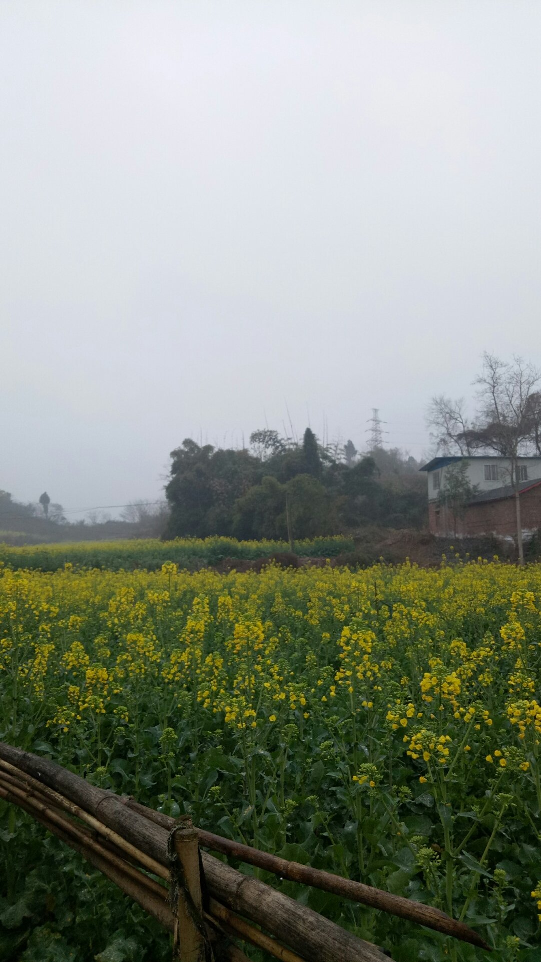 管阳镇天气预报最新概览