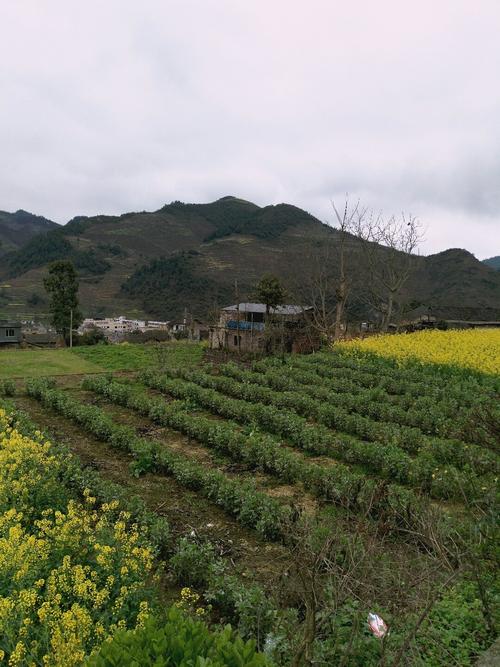 洪口乡天气预报更新通知